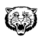 Baldwyn High School Bearcats logo